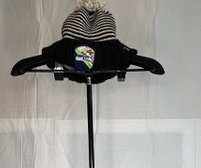 hat_22